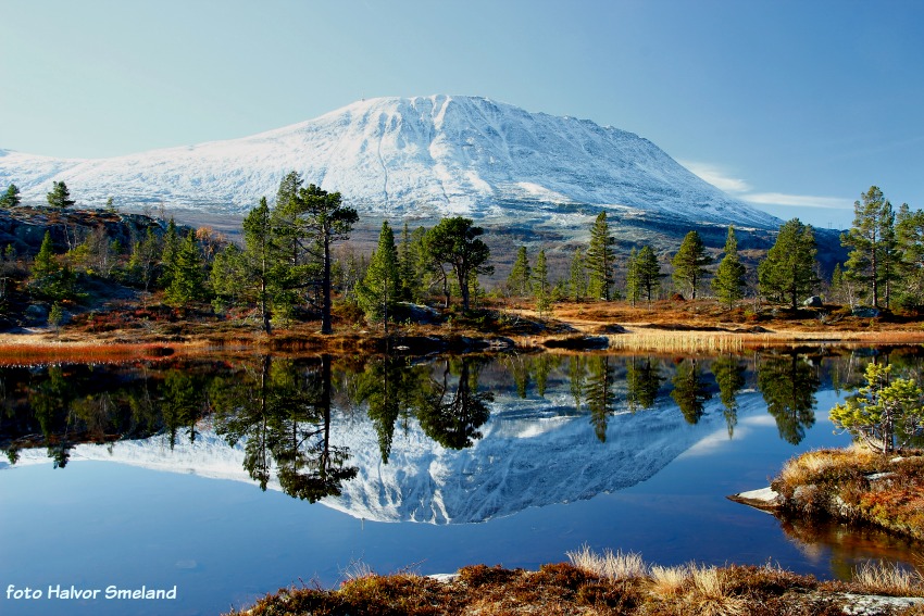 Gaustatoppen